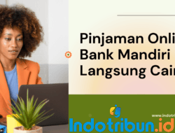 Pinjaman Online Bank Mandiri Langsung Cair