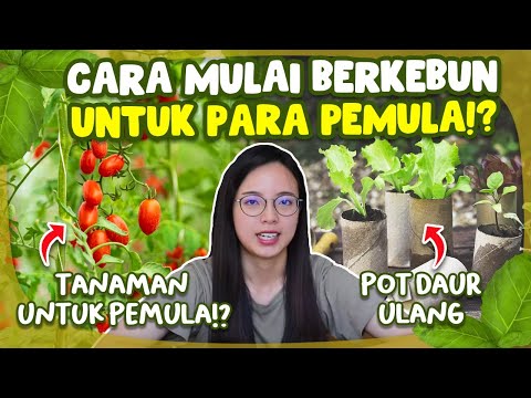 Trik Jitu Menanam Sayur Organik di Rumah bagi Pemula