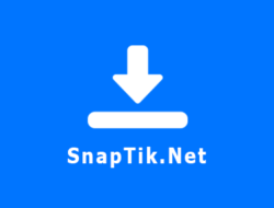 Aplikasi Snaptik -Download Video Tiktok 2024