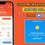 bayar spaylater via dana