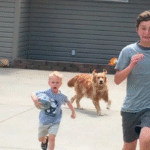 what to do after a dog bite