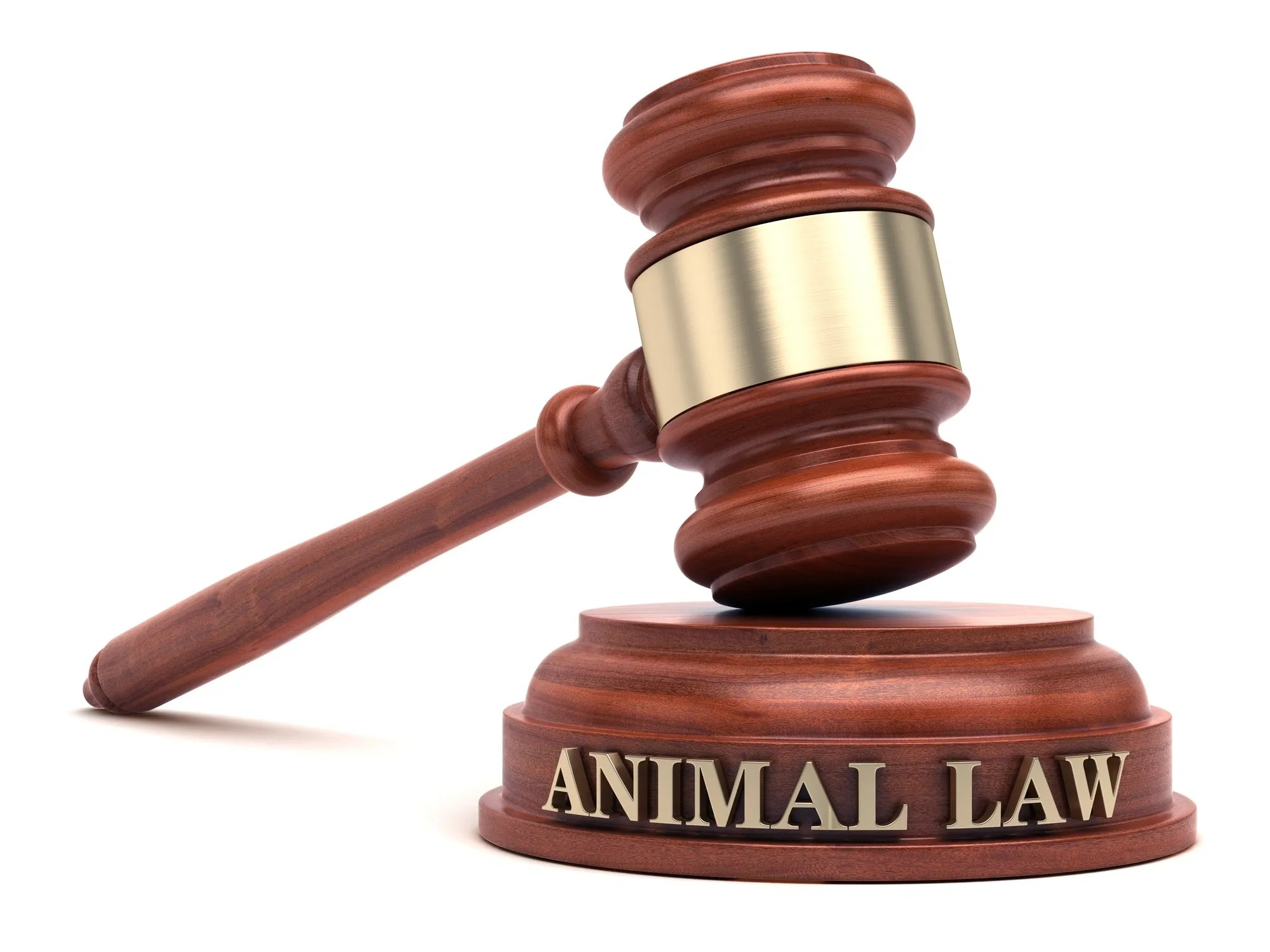 Animal Law lawyer for a Dangerous Dog Defence