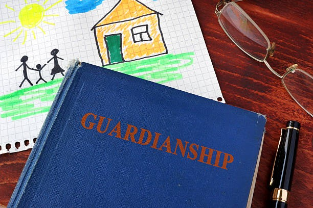 Attorney for a Contested Guardianship Application in Manitoba