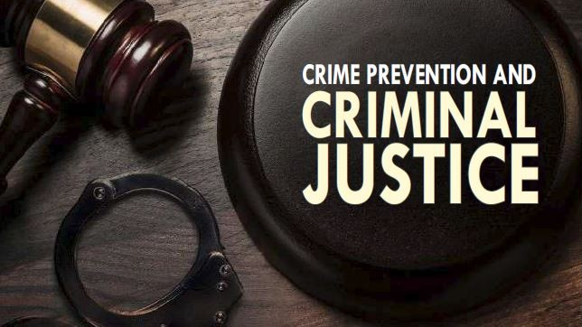 Attorney for a Youth Charged Under the YCJA