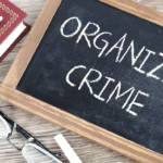 Attorney for an Organized Crime (Criminal Organization) Charge