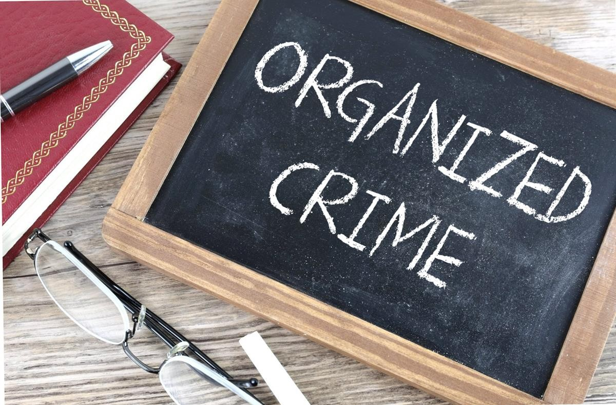 Attorney for an Organized Crime (Criminal Organization) Charge