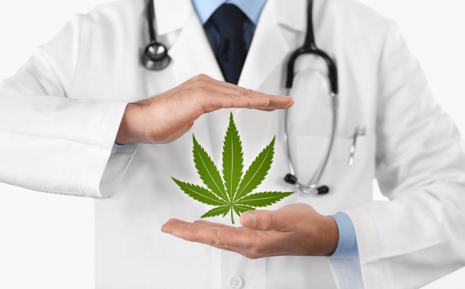 Cannabis Business License Application Lawyer in New York