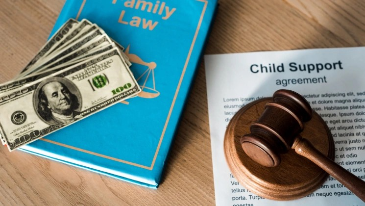 Child Support Lawyer for High-Income Earners in Canada