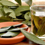 Efek Samping Minum Rebusan Daun Sirsak Setiap Hari