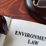 Environmental Assessment Lawyer for a Mining Project