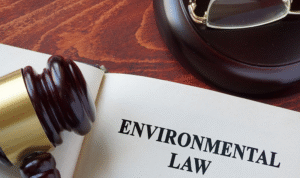 Environmental Assessment Lawyer for a Mining Project