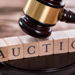 Lawyer for a Dispute Over a High-Value Auction Item