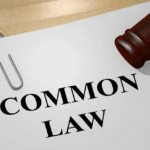 Lawyer to Prove Common-Law Relationship for Sponsorship
