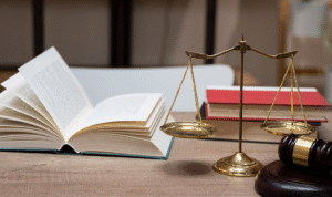 Professional Misconduct Lawyer is Essential for Regulated Profession
