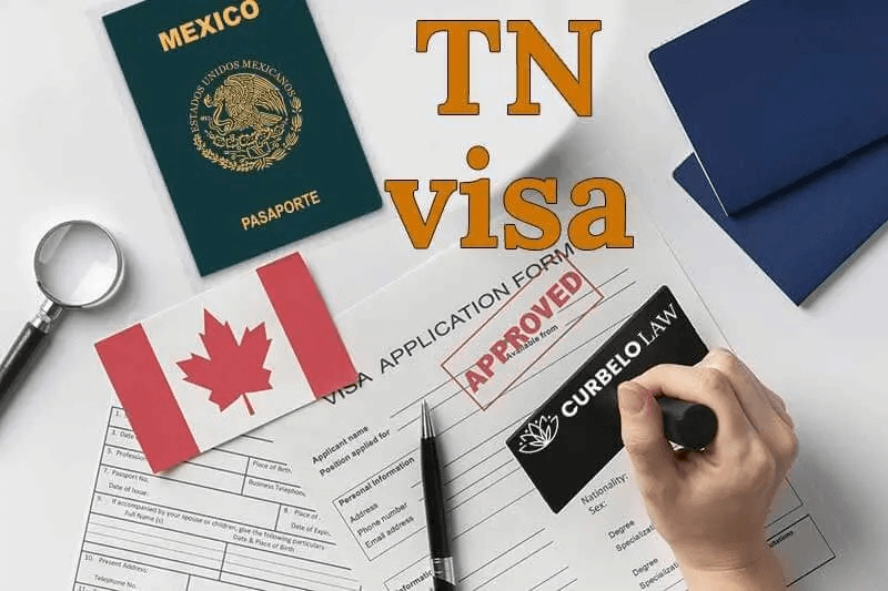 TN Visa Lawyer for a Canadian Management Consultant