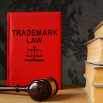 Trade Dress Infringement Lawyer for Product Packaging