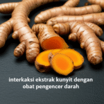 interaksi ekstrak kunyit dengan obat pengencer darah