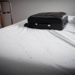 suing a hotel for a bed bug infestation claim